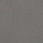 Дюна Сонора