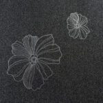 Ночная фиалка