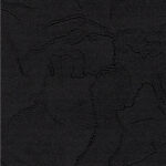 Пластер Блэк