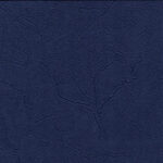 Пластер Индиго